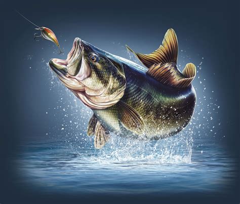 drawings of largemouth bass|realistic bass drawing.